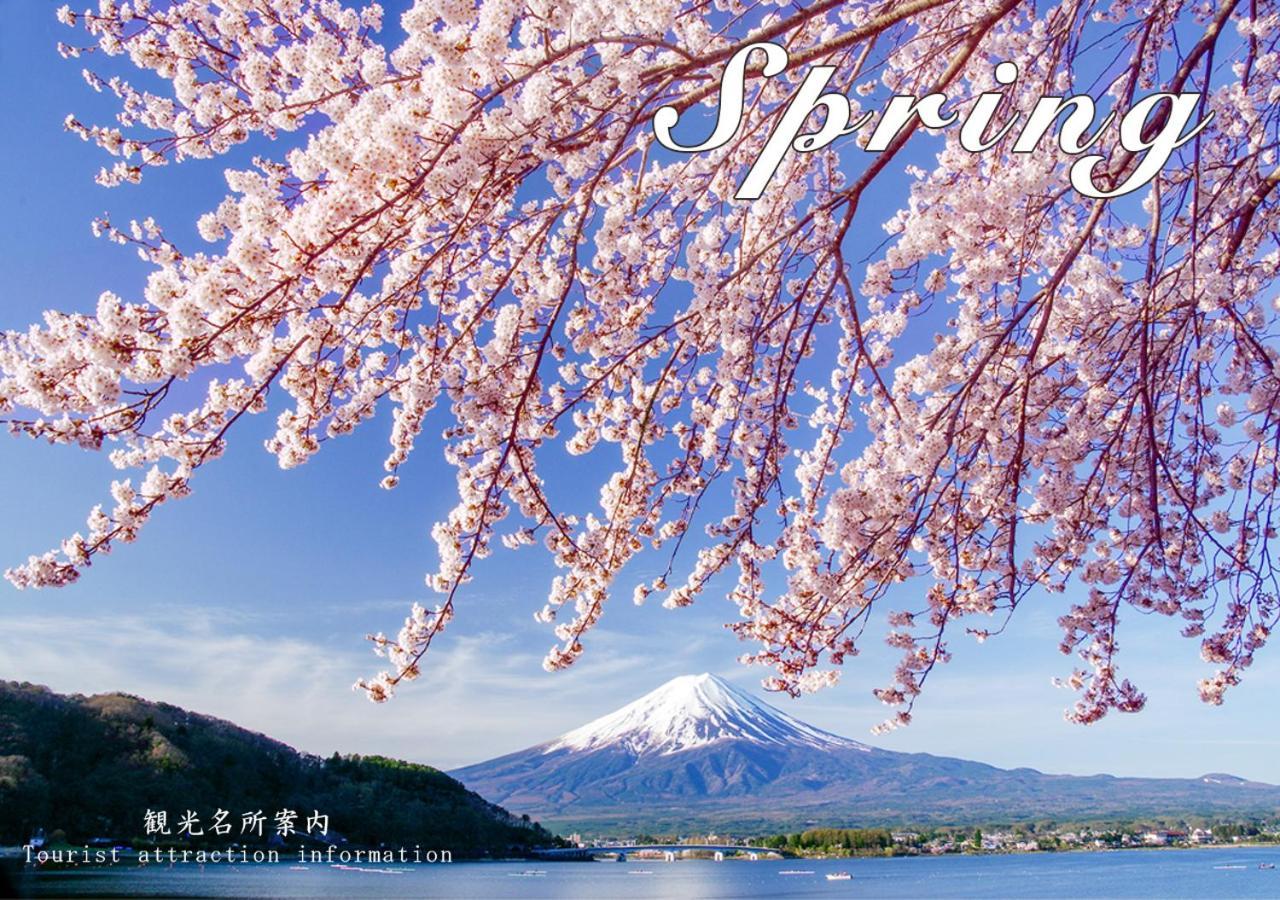 Station Villa Plaisir Mt. Fuji Fujikawaguchiko Extérieur photo